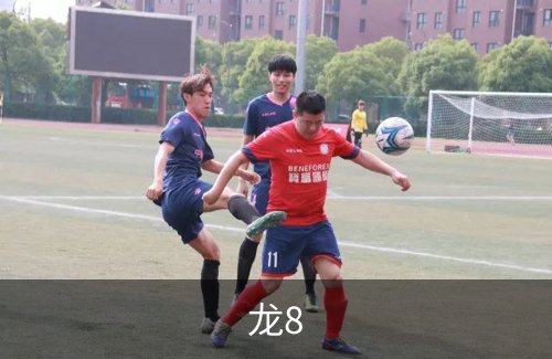 龙8介绍
